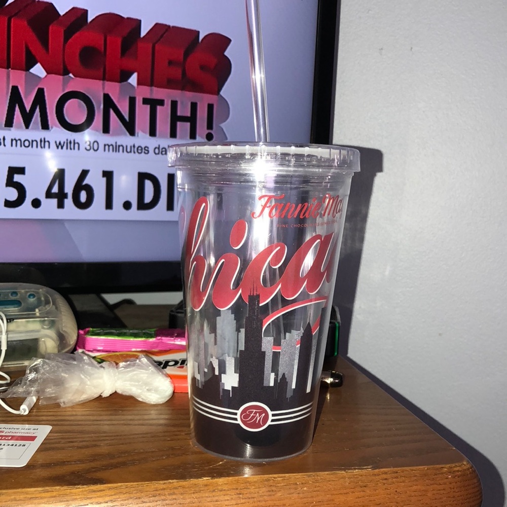 Brand new! chicago skyline tumbler